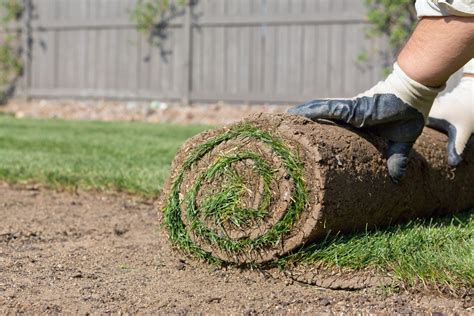 sod asheville|Top 10 Best Sod Installation in Asheville, NC